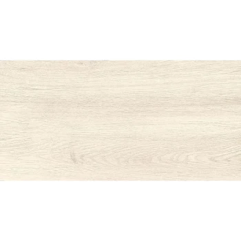 CANADA  Gresie portelanata  600x300  alb  1.26mp/cutie 6060-0098-4011