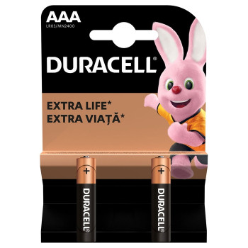 Duracell baterie Basic  AAAK2